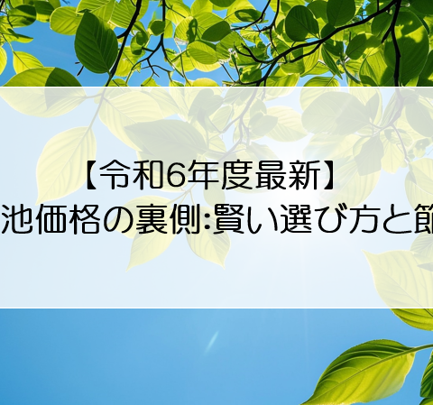 【令和６年度最新】蓄電池価格の裏側：賢い選び方と節約術 アイキャッチ画像