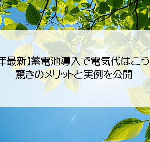 【2024年最新】蓄電池導入で電気代はこう変わる！驚きのメリットと実例を公開 アイキャッチ画像