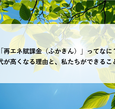 「再エネ賦課金(ふかきん)」ってなに?電気代が高くなる理由と、私たちができることは? アイキャッチ画像