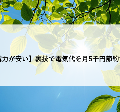 【深夜電力が安い】裏技で電気代を月5千円節約する方法 アイキャッチ画像